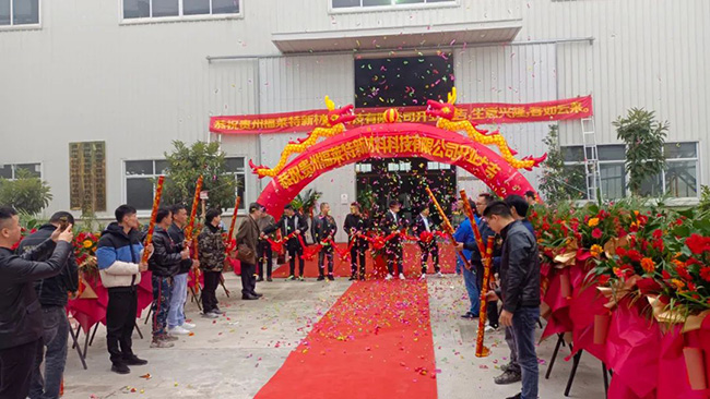 钱柜qg777(中国区)唯一官方网站